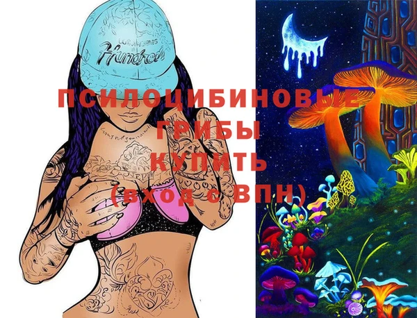 ГАЛЛЮЦИНОГЕННЫЕ ГРИБЫ Балабаново