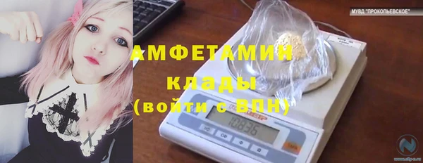 ГАЛЛЮЦИНОГЕННЫЕ ГРИБЫ Балабаново