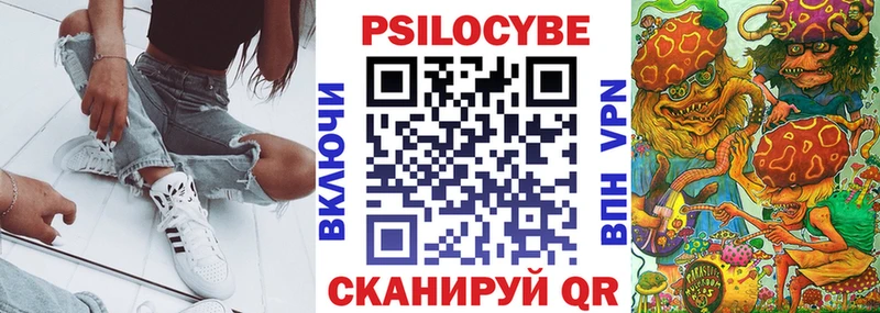 Псилоцибиновые грибы Psilocybe  что такое   blacksprut зеркало  Заинск 