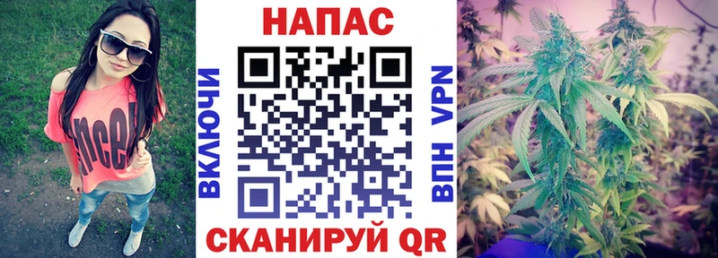 Бошки марихуана план  наркошоп  Заинск 
